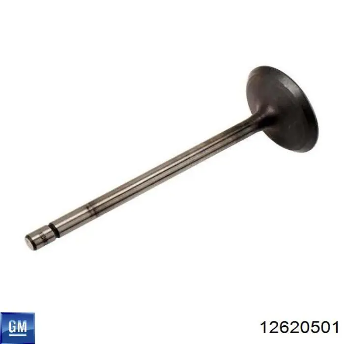 Клапан впускний General Motors 12620501 ціна, від 70.54 USD