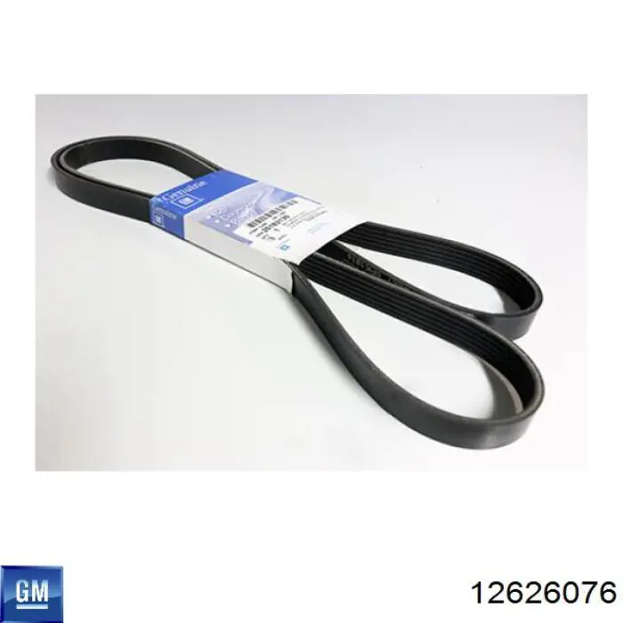 Купити 12626076 General Motors Ремінь генератора