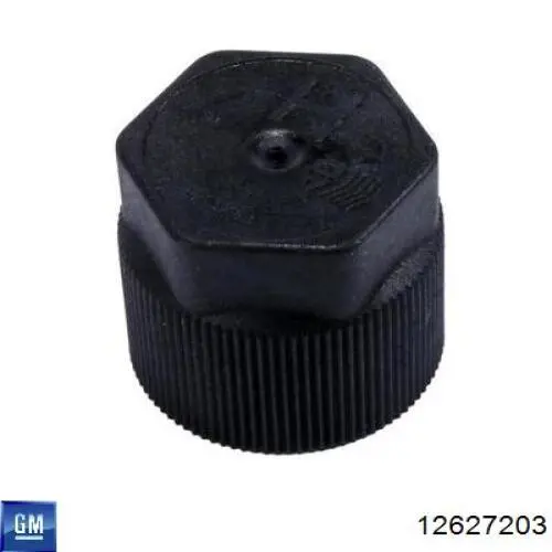  General Motors 12627203 ціна, від 18.75 USD