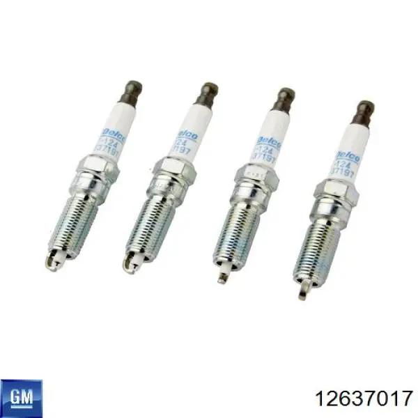  General Motors 12637017