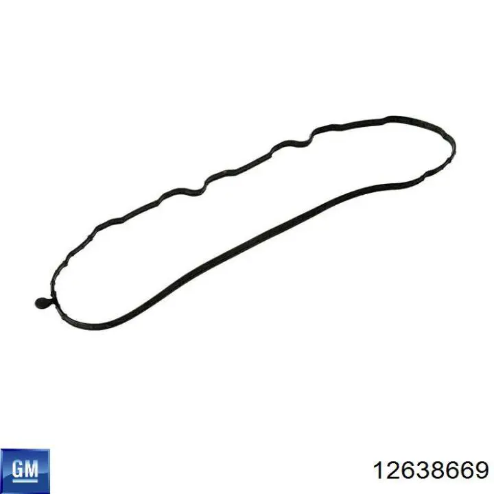  General Motors 12638669