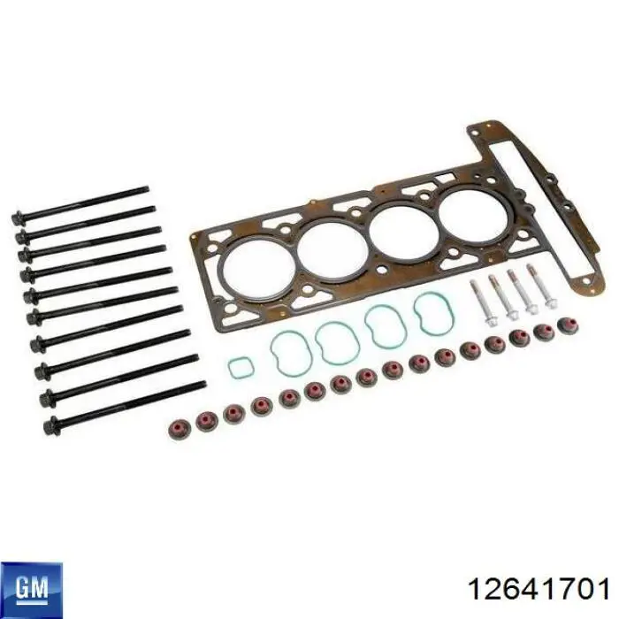 12641701 General Motors Головка циліндрів