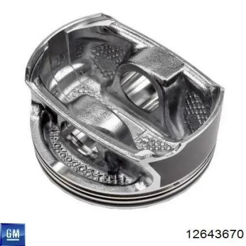 Купити 12643670 General Motors 