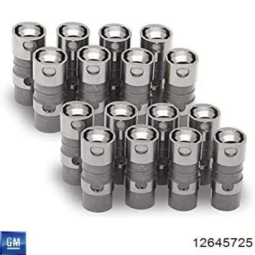 Гідрокомпенсатор 12645725 General Motors