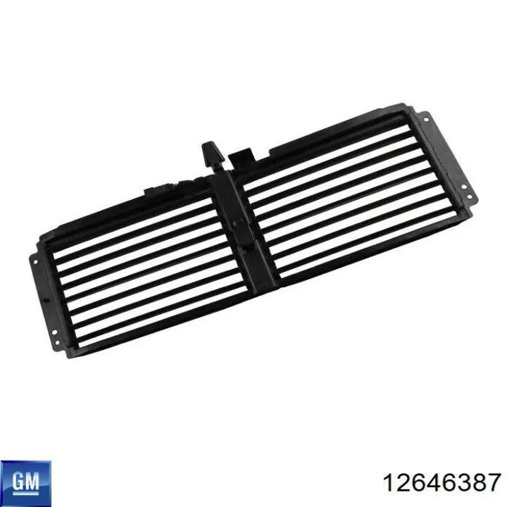 Купити 12646387 General Motors 