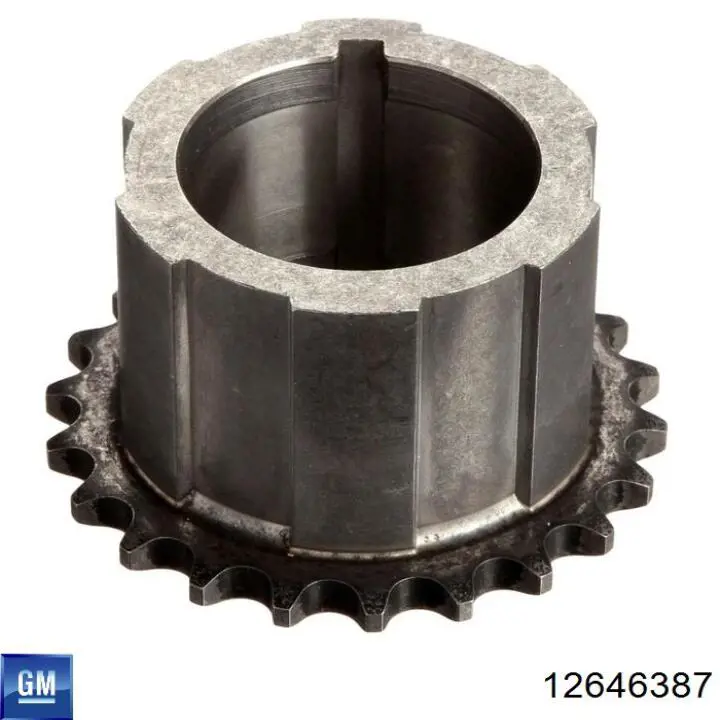 12646387 General Motors 