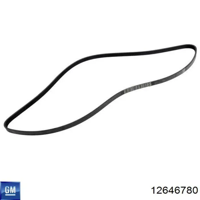  12646780 General Motors