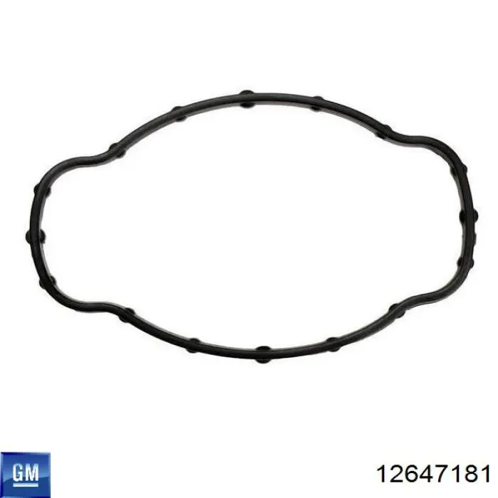 Купити 12647181 General Motors 