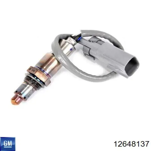 Купити 12648137 General Motors 