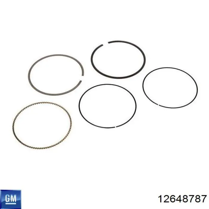 General Motors 12648787