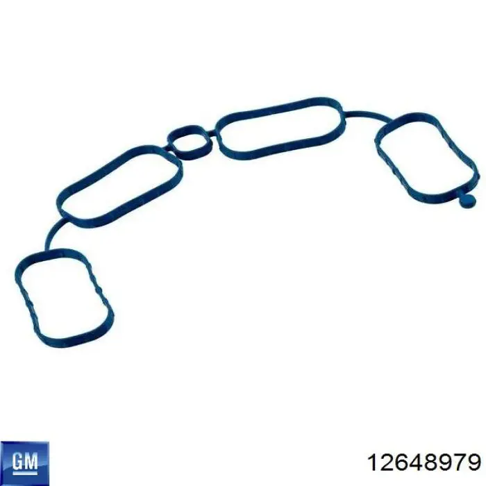  55071 Mahle Original