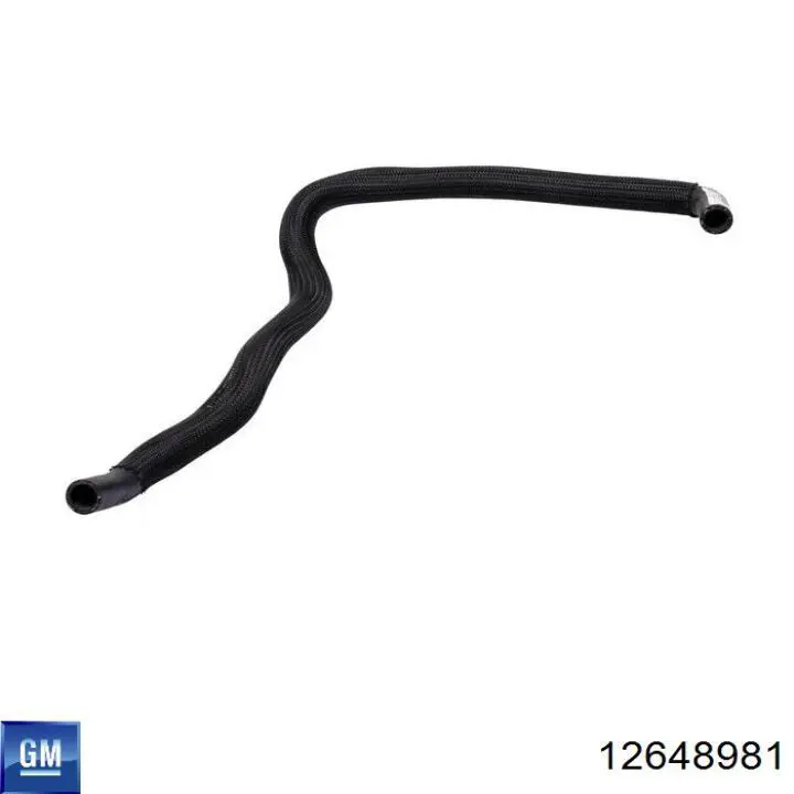 Ремінь генератора 12648981 General Motors