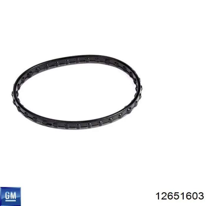 Купити 12651603 General Motors Термостат в корпусі