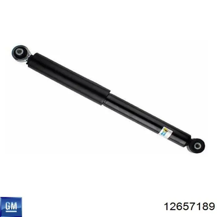 Купити 12657189 General Motors Натяжний ролик