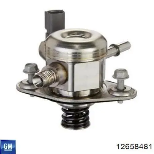12658481 General Motors 
