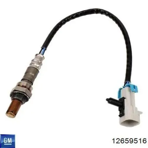 Купити 12659516 General Motors 