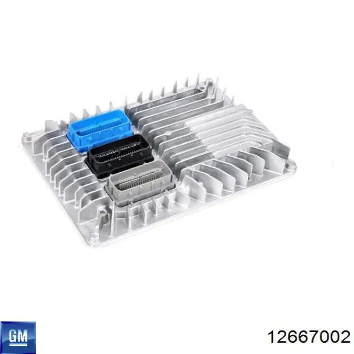 12667002 General Motors Блок електронного управління