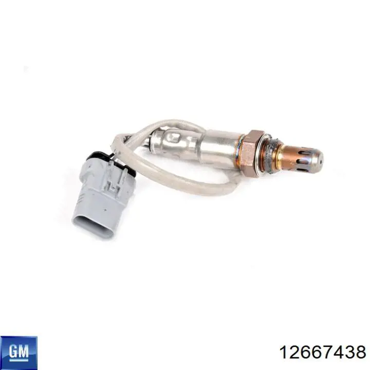 12667438 General Motors 