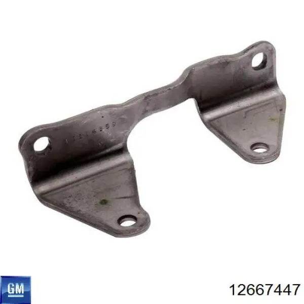 12667447 General Motors 