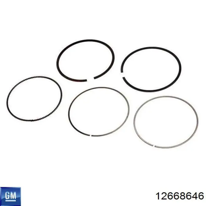 Купити 12668646 General Motors 