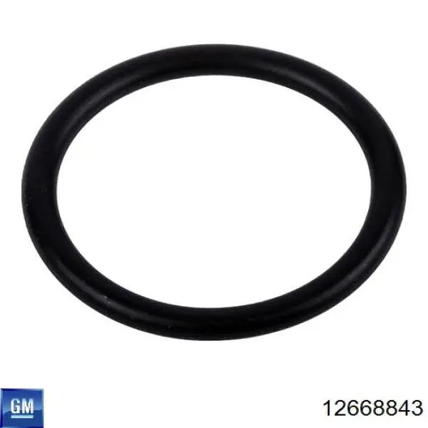 Помпа 12668843 General Motors