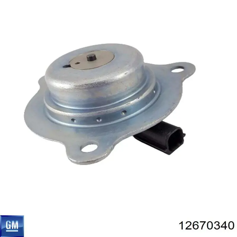 Купити 12670340 General Motors 