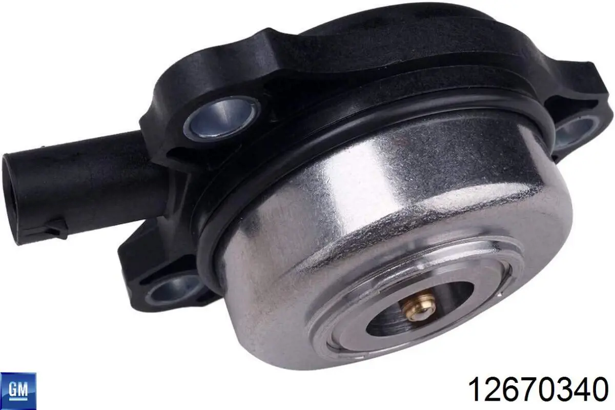  General Motors 12670340