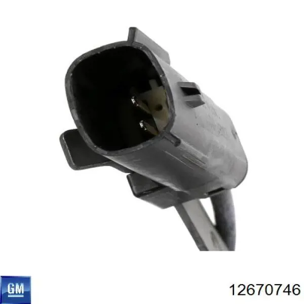 12670746 General Motors 