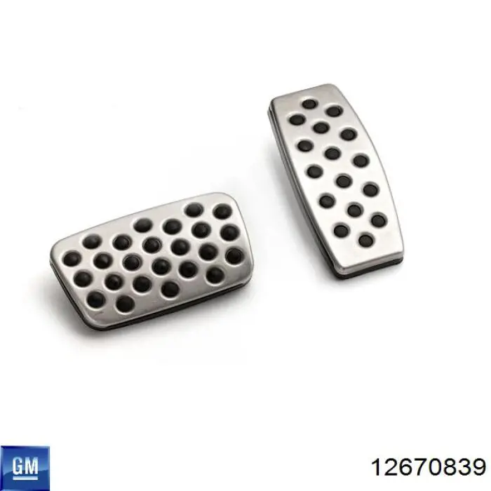12670839 General Motors 