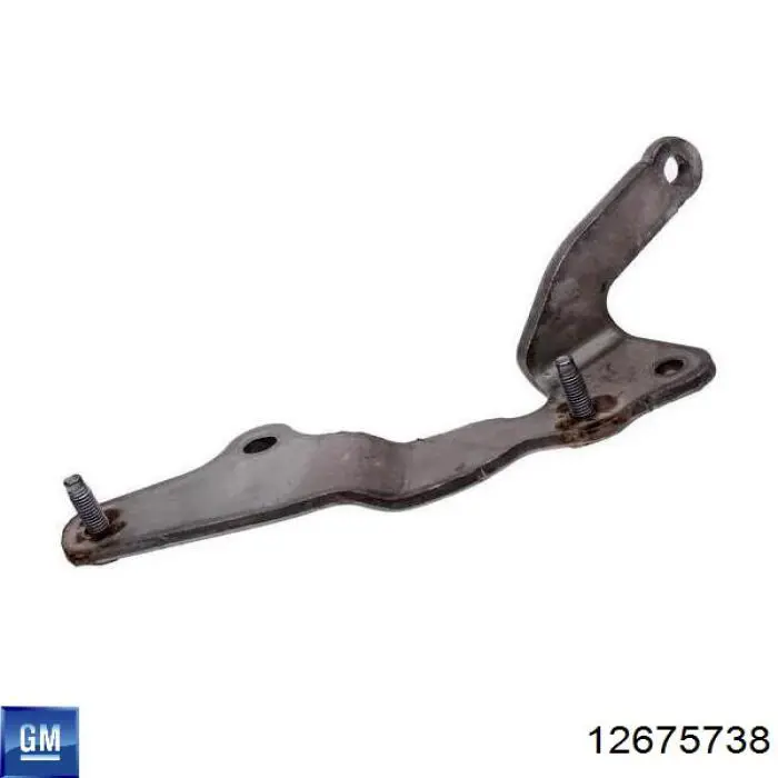  12675738 General Motors