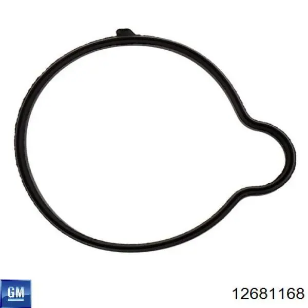 Водяний насос Dolz O205