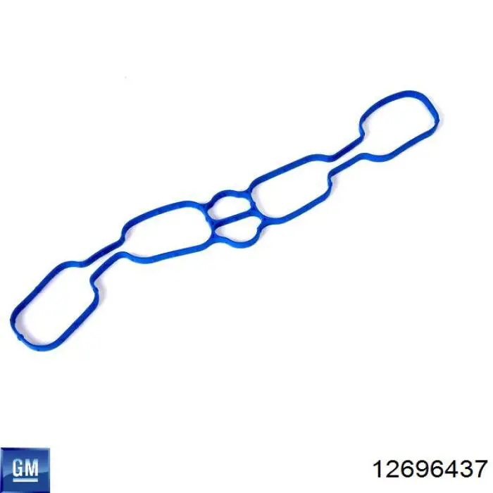 12696437 General Motors 