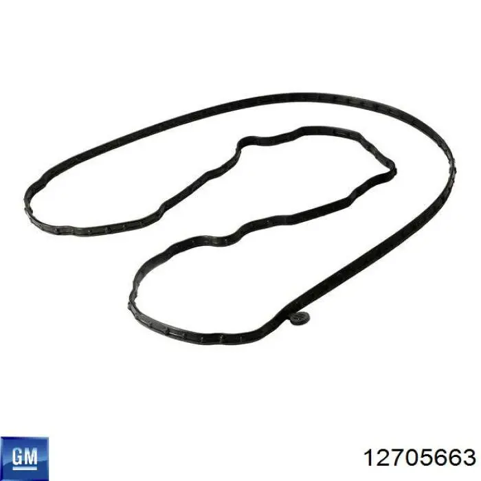 Кришка двигуна задня General Motors 12705663