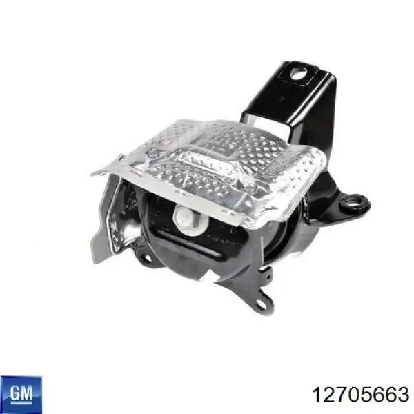 Кришка двигуна задня General Motors 12705663 ціна, від 114.81 USD
