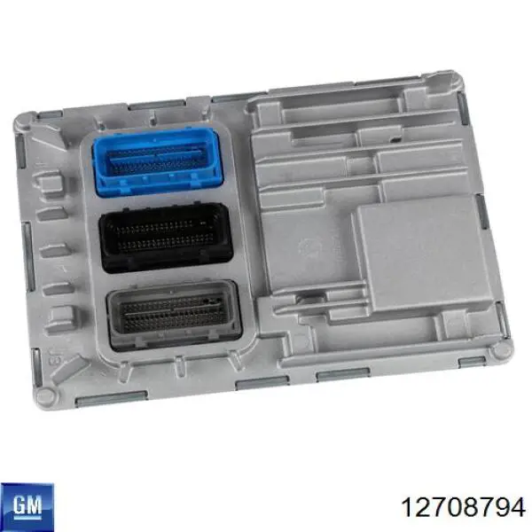 Купити 12725663 General Motors 