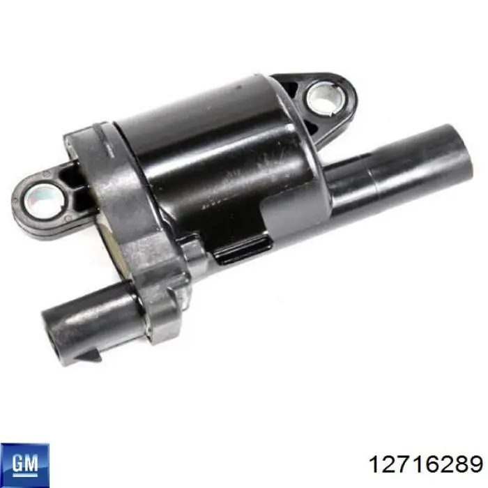 Купити 12716289 General Motors 