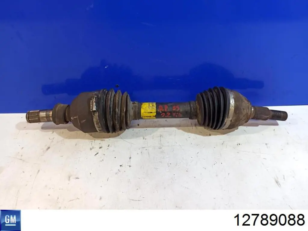 12789088 Opel 