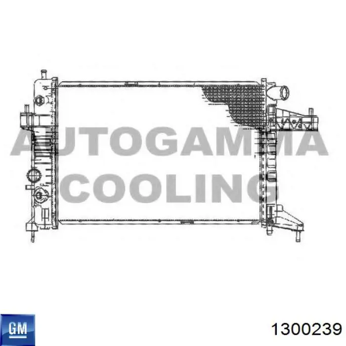 Радіатор охолодження двигуна 1300239 General Motors