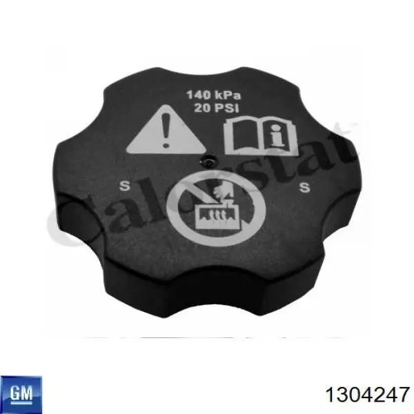 Купити 1304247 General Motors Водяний бачок системи охолодження