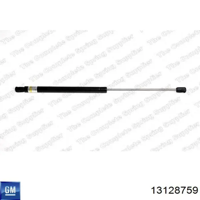 Амортизатор двері задньої General Motors 13128759 ціна, від 9.26 USD