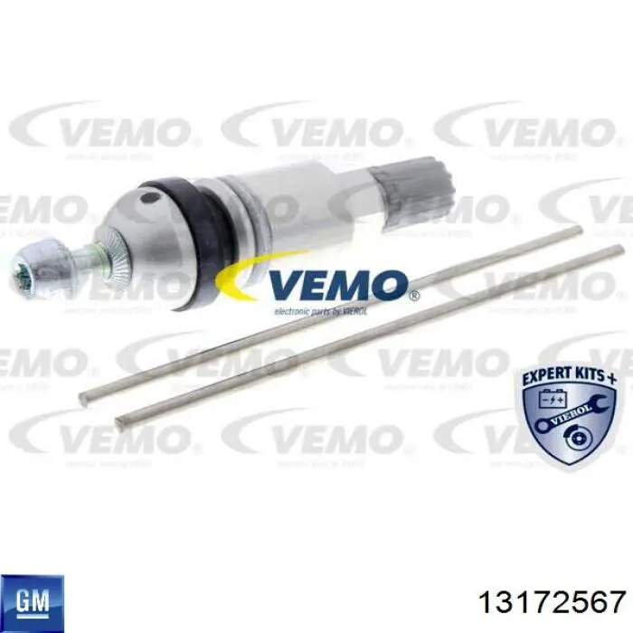 Купити 13172567 General Motors Датчик контролю тиску в шинах