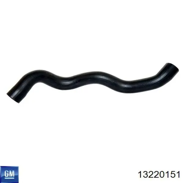 Купити 13220151 General Motors 