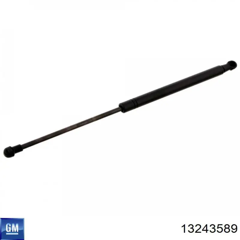 Амортизатор багажника 13243589 General Motors