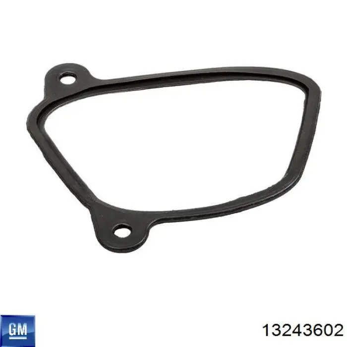 Купити 13243602 General Motors 