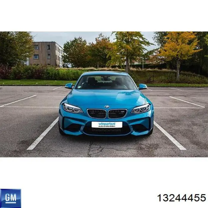 Глушник, центральна частина 13244455 General Motors