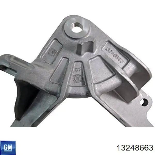 Купити 13248663 Opel 