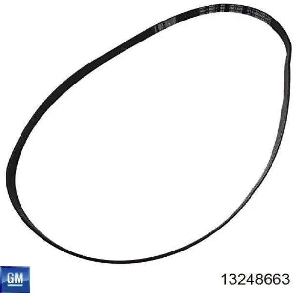  13248663 Opel