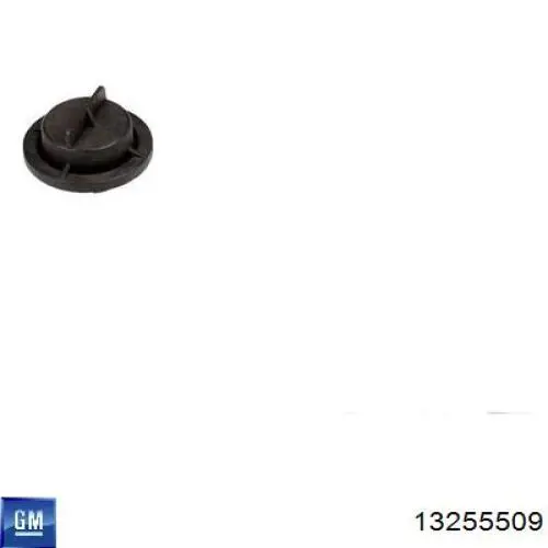  General Motors 13255509