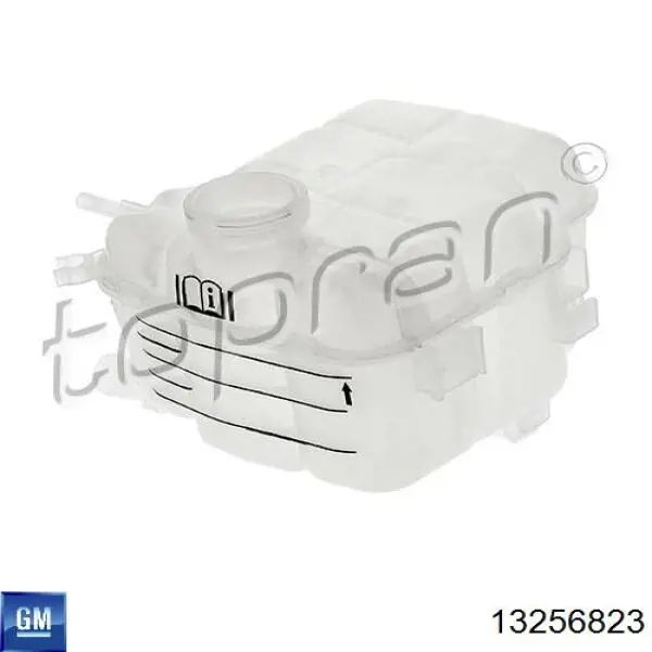 Купити 13256823 General Motors Водяний бачок системи охолодження