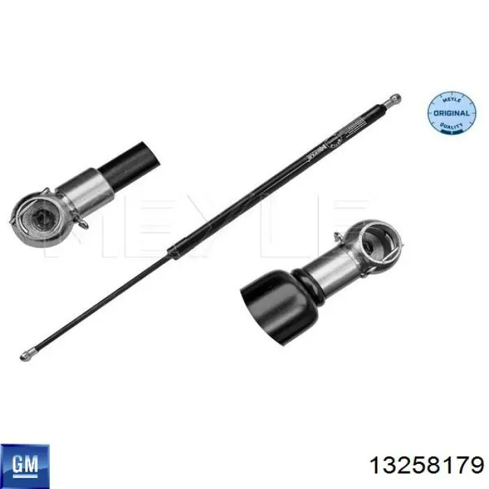 Амортизатор багажника 0132016 Opel